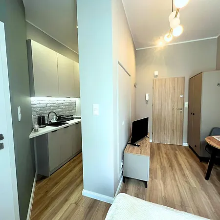 Grey Apartment 1 Poznan Exterior photo